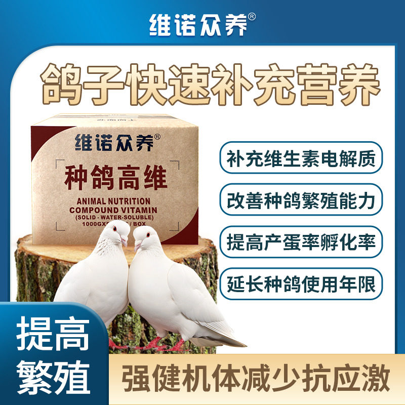 种鸽高维速溶电解质多维改善繁殖产蛋强化体质减少应激饲料添加剂
