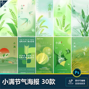 小满二十四24节气海报设计小麦收获耕种企业推广插画psd素材模板
