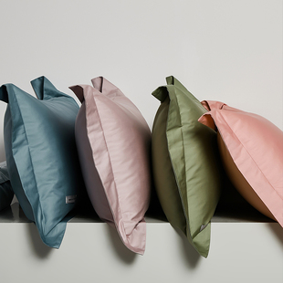 单人枕头套一对装 ROLAND LIVE100全棉长绒棉枕套纯棉贡缎春秋四季