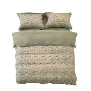 100S全棉磨毛四件套秋冬简约纯棉床单被套床笠床上用品1.8m2米床