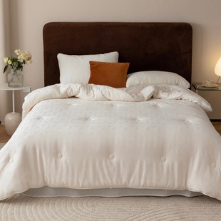 ROLAND LIVE春秋被抗菌大豆被子被芯冬被柔软夏被加厚保暖子母被