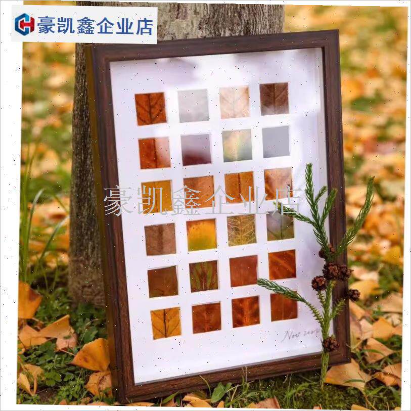 落叶树叶标本相框手工diy秋天叶子E收集48宫格画框装饰画桌面摆.