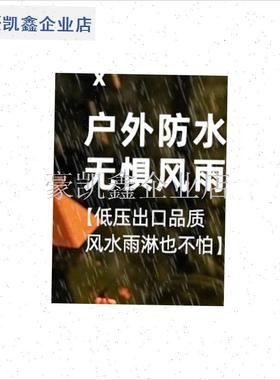 圣诞节ledd彩灯雪人户外太阳能草坪庭院地插装饰灯阳台场景布置.