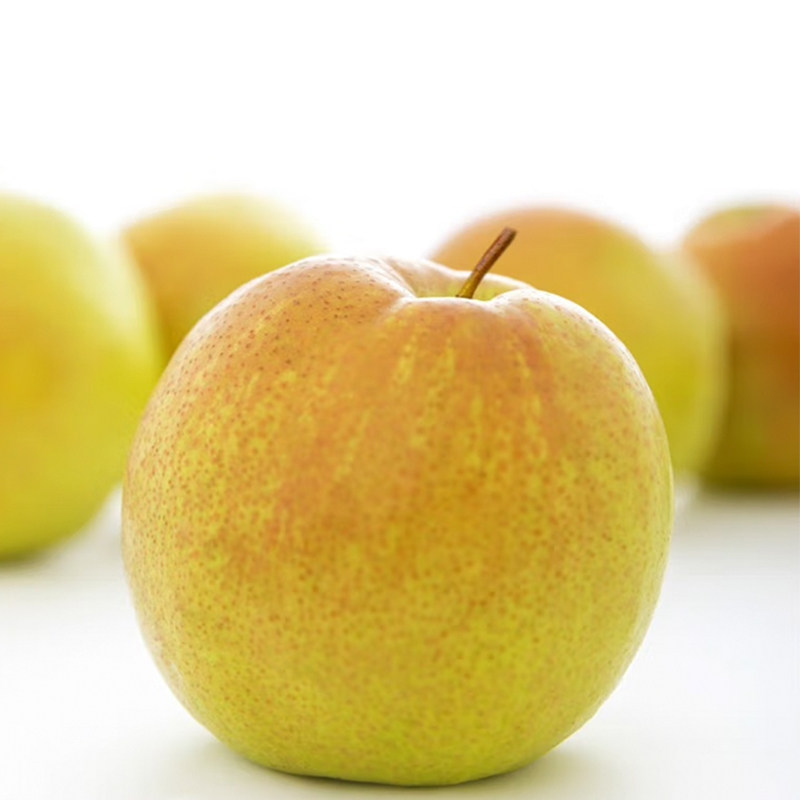 山西隰县玉露香梨10斤15颗现摘现发当季新鲜脆甜水果整箱顺丰包邮