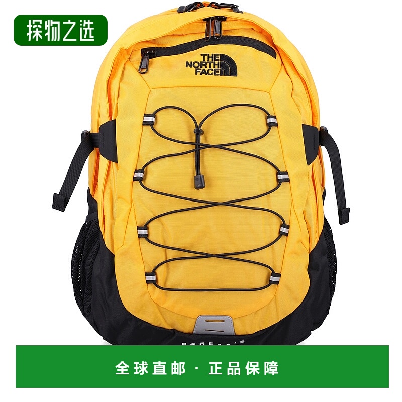 欧洲直邮THE NORTH FACE 男士双肩包NF00CF9C4WP1北面通勤背包