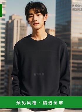 韩国直邮AURALEE A23AP01SF 黑色毡制羊毛针织圆领衫毛衣针织衫