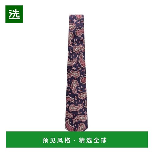 香港直邮Etro 艾特罗 男士 真丝领带 MASA0001AQ223