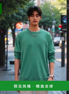 韩国直邮AURALEE A23AP01PD 超高针距羊毛针织衫 翠绿色 圆领 男