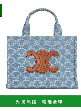 香港直邮Celine 小号 CABAS单肩包 199162GN3.新款斜挎包手提包