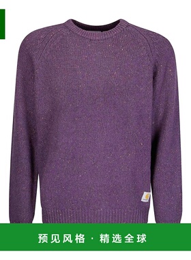 香港直邮CARHARTT 男士卫衣 I0109773ASXX AW2025 黑色 Anglistic