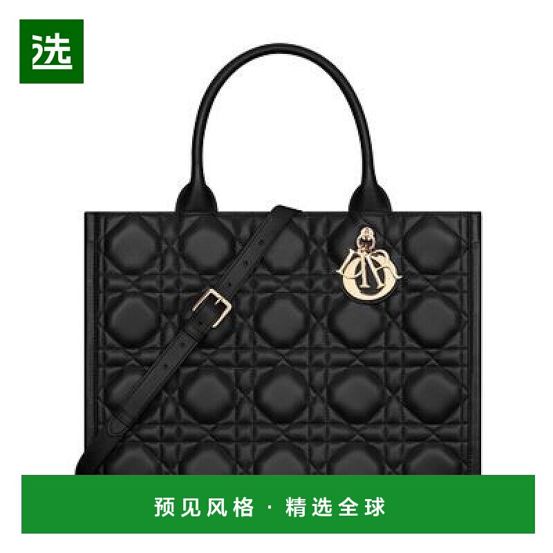 1h可退 欧洲直邮Dior/迪奥 中号书型手提袋正品高端包包百搭通勤