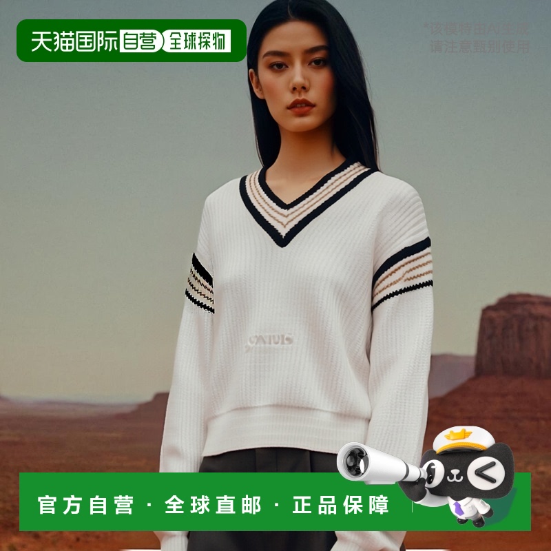 韩国直邮Golden Goose 20103 V领针织衫 女士街头风格 套头设计