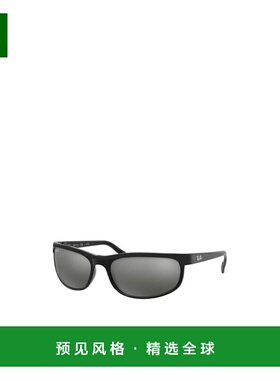 1h可退 香港直邮RAY-BAN 男士太阳镜 RB2027601W1 SS2023 灰色 徽