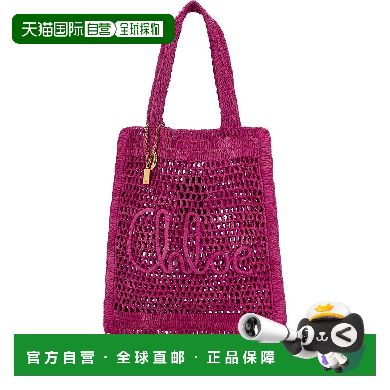 1h可退 香港直邮Chloe 蔻依 女士 矩形单肩包 CH25US901P08