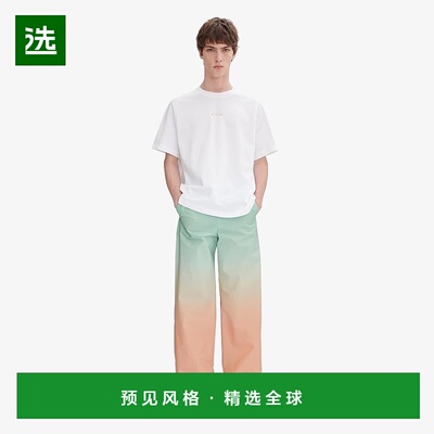 欧洲直邮APC 男士白色棉T恤短袖上衣男装