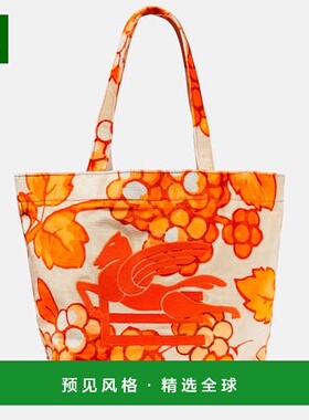 香港直邮Etro 艾特罗 女士 Pegaso 皮革饰边手提包托特包单肩包