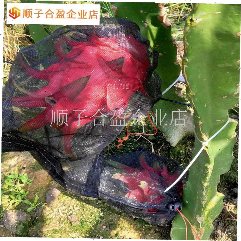 火龙果套袋套k果袋葡萄套袋水果套袋防果蝇P防虫防鸟袋尼龙网.
