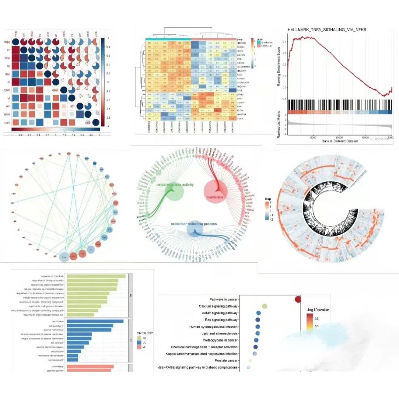 生信做图 转录组学,蛋白质组学,代谢组学测序数据分析,RNA-seq