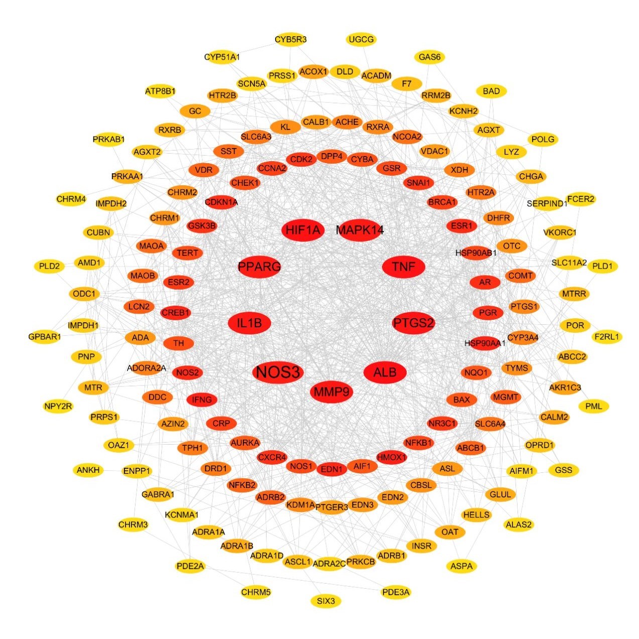 (16s,ITS等)扩增子测序数据分析