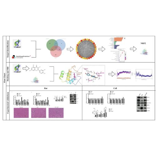 质谱数据分析 高分辨率数据分析 代谢组学 蛋白组学 LCMS GCMS