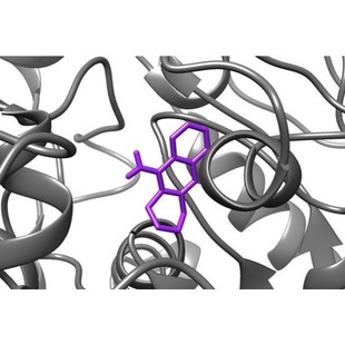 分子动力学模拟/分子对接/GROMACS/代做/蛋白质体系/回头客过千