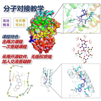 分子对接教学 互作分析 对接教学 对接指导