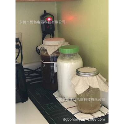 数字热垫恒温控制器传感器温湿度控制调节器heat mat thermostat