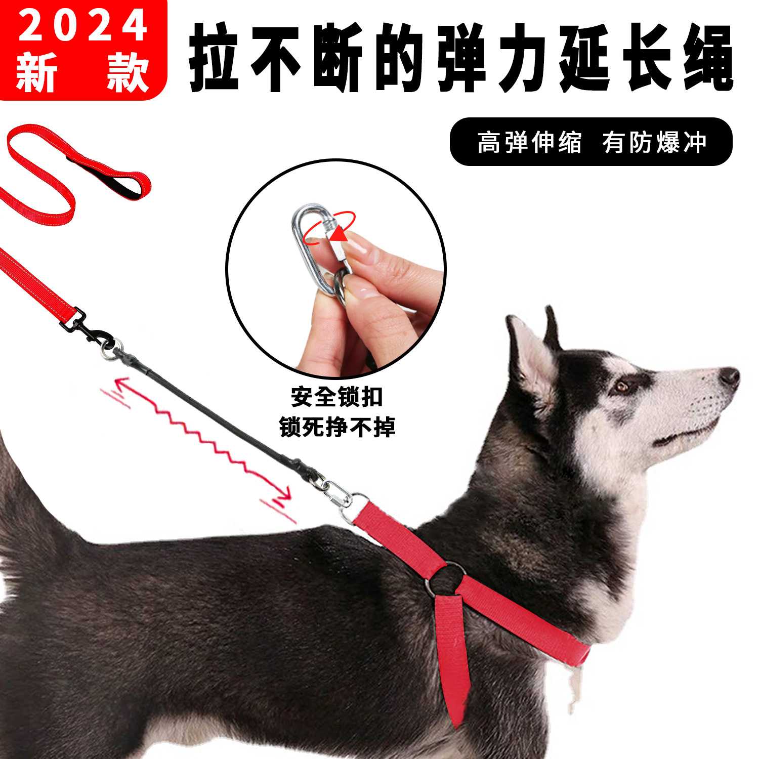 2024新款弹力延长绳高弹伸缩防暴冲安全锁扣2支装宠物牵引加长绳