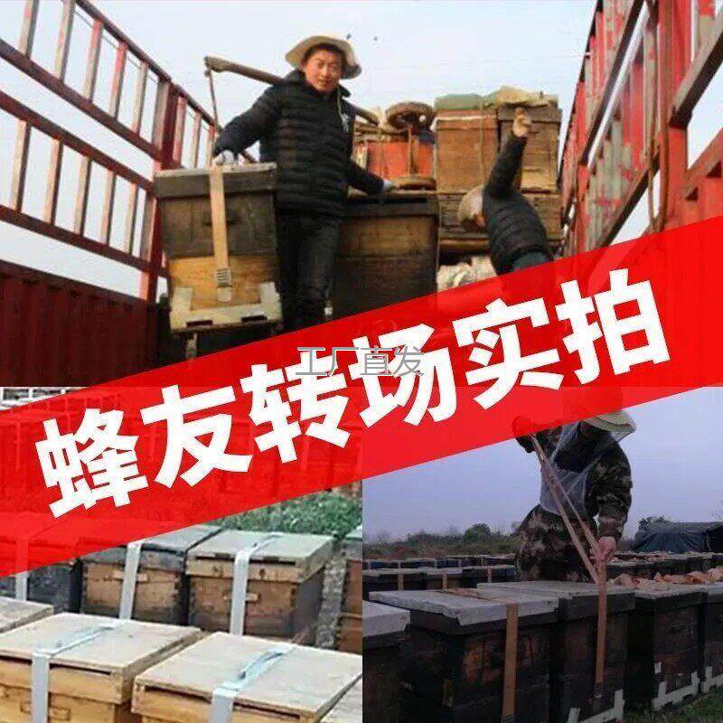 连接器蜂箱蜜捆绑绳转场