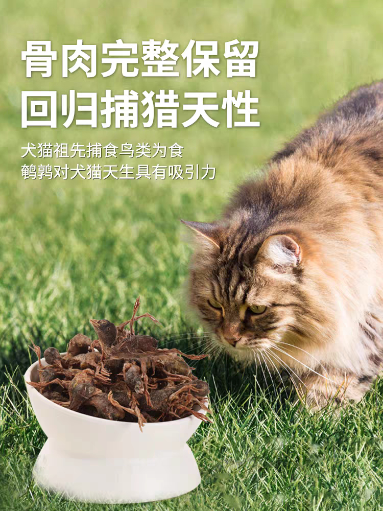 怡亲鹌鹑冻干猫零食猫咪补充营养高蛋白宠物幼猫磨牙小零食50g