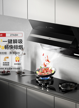 老板吸油烟机27A3H家用侧吸式内腔免拆洗挥手智控抽脱排抽油烟机
