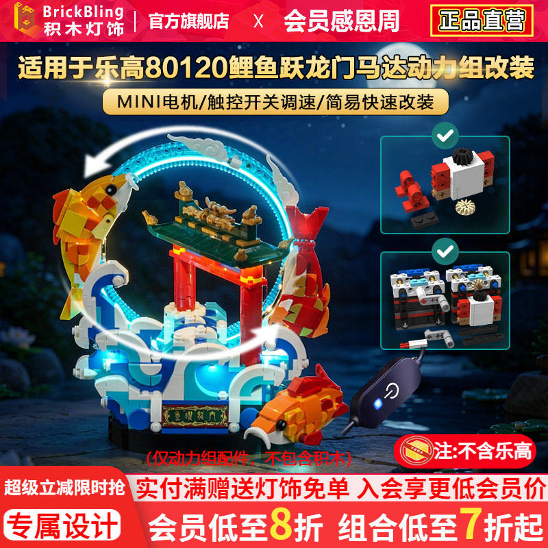 适用80120鲤鱼跃龙门马达动力组图片