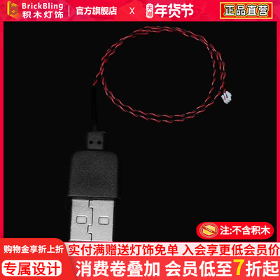 BrickBlingUSB供电接口适用