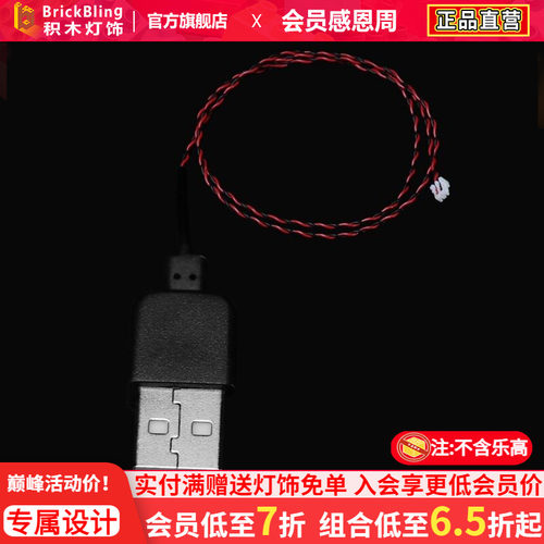 BrickBlingUSB供电接口适用