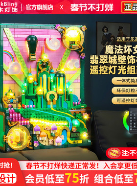 适用乐高灯光魔法坏女巫75685翡翠城壁艺术画积木灯饰配件改装LED