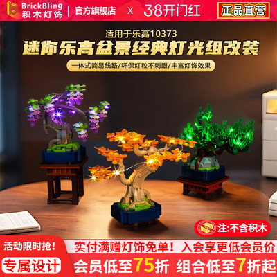 适用于10373迷你乐高盆景灯光组