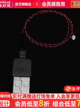 BrickBlingUSB供电接口适用