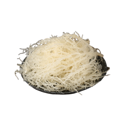 新鲜龙须菜500g克凉拌菜海产非干货海石花菜海藻草海发菜鹿角菜