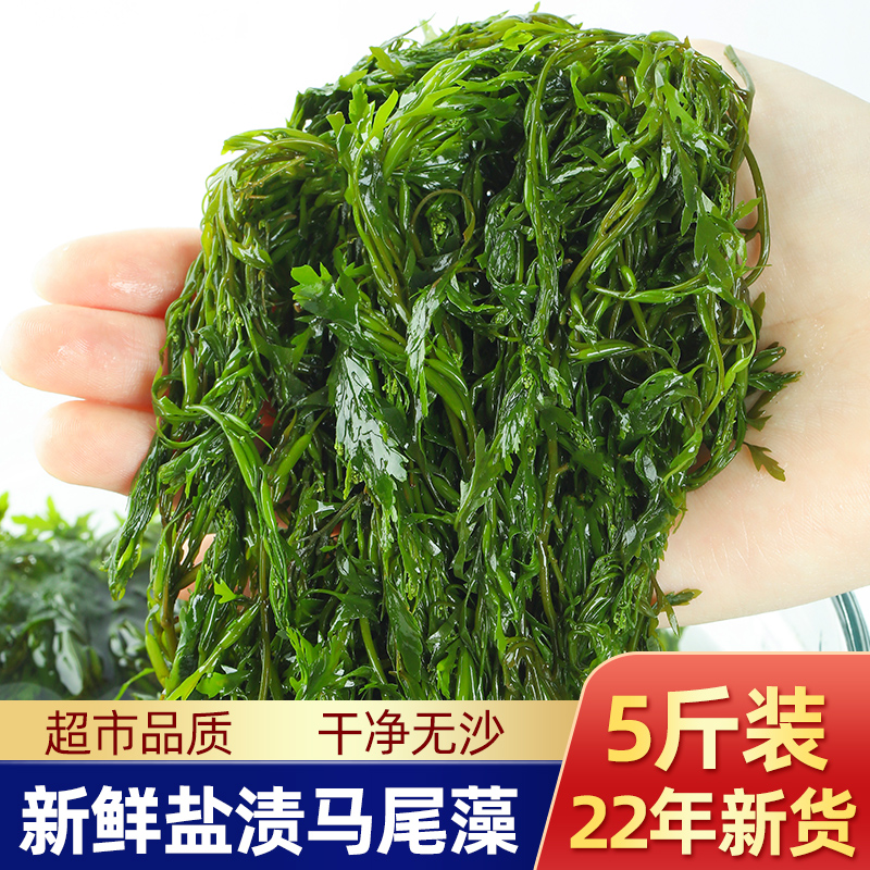 5斤装盐渍马尾藻海藻海带海草鞭炮笋长寿菜羊栖菜火锅炮食材海菜-封面