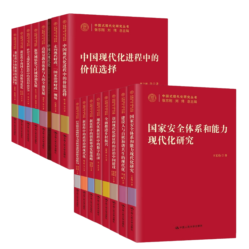 中国式现代化研究丛书全16册 全面推进乡村振兴+建设人与自然和谐共生的现代化+新征程中的政府治理现代化 +新型城镇化与区域协调