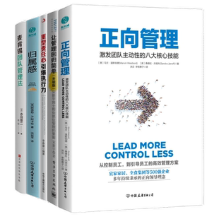 打造正向团队5本套：正向管理+让管理回归简单+重塑责任心，引爆执行力+归属感：构建团队共同愿景、打造高效能执行体系的思维法则