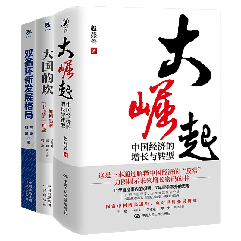 中国经济转型与发展3本套:大崛起 中国经济的增长与转型+双循环新发展格局+大国的坎 如何解决“卡脖子”难题
