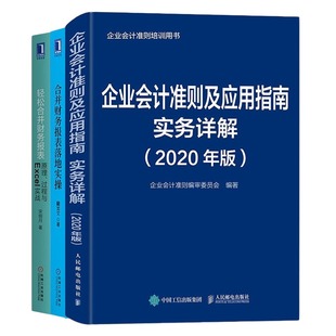 轻松合并财务报表 合并财务报表落地实操 2020年版 轻松搞定财务报表与财务会计准则：企业会计准则及应用指南实务详解