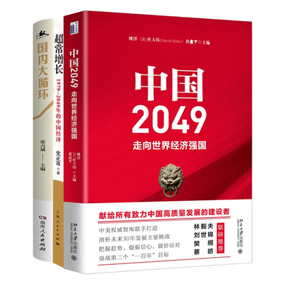 中国经济崛起与未来展望：2049年的挑战与机遇3册：中国2049：走向世界经济强国+超常增长:1979-2049年的中国经济+国内大循环 中国