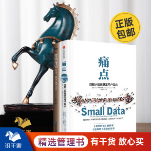 识干家企业管理C 营销按钮 营销窍门2本套：痛点 挖掘小数据满足用户需求