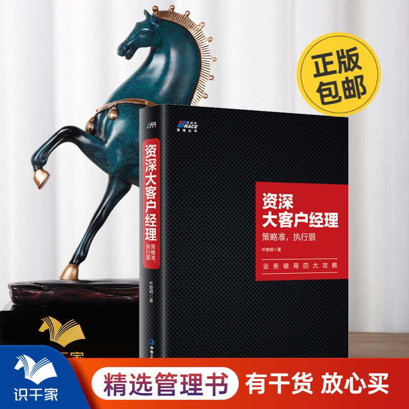 大客户经理 策略准 执行狠 叶敦明大客户经理职场宝典业务破局业务员推销员 直销电话销售大客户管理营销