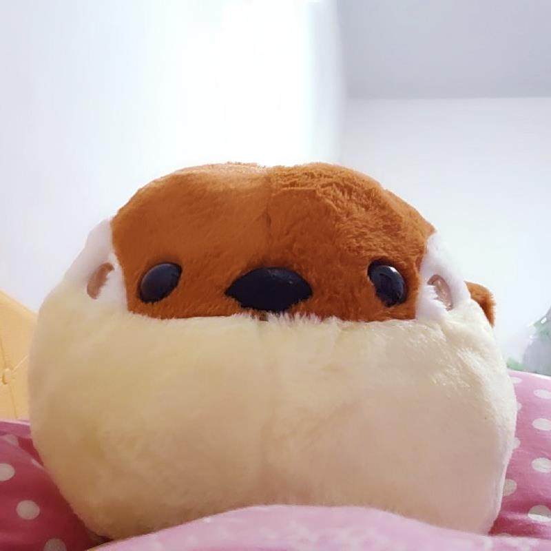 大杂货店可爱胖啾啾麻雀娃娃圆奶头女孩心枕头生日礼物