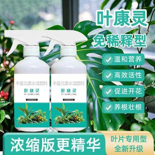 植物叶康灵百菌灵花卉植物通用菌立清兰花黑斑病白粉病专用杀菌剂