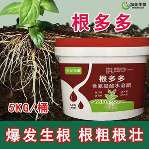 根多多生根液壮棵靓叶生根壮根蔬菜花卉果树爆根氨基酸水溶肥料