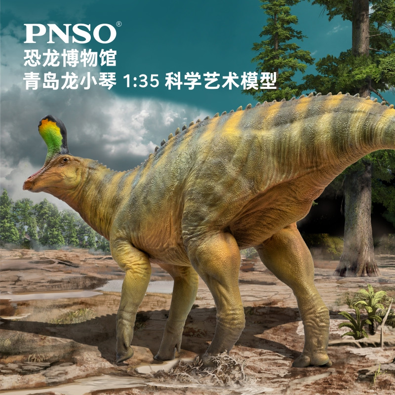 PNSO恐龙博物馆青岛龙小琴1:35科学艺术模型